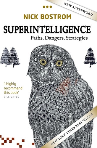 Superintelligence paths - superintelligence:,
