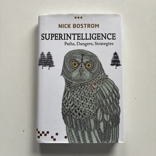 Superintelligence paths - superintelligence,